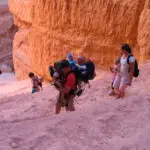 Tag 9 · Arches → Bryce Canyon – Wall Street
