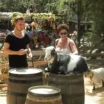 Tag 2 · Disneyland Anaheim – Tom im Streichelzoo :-)