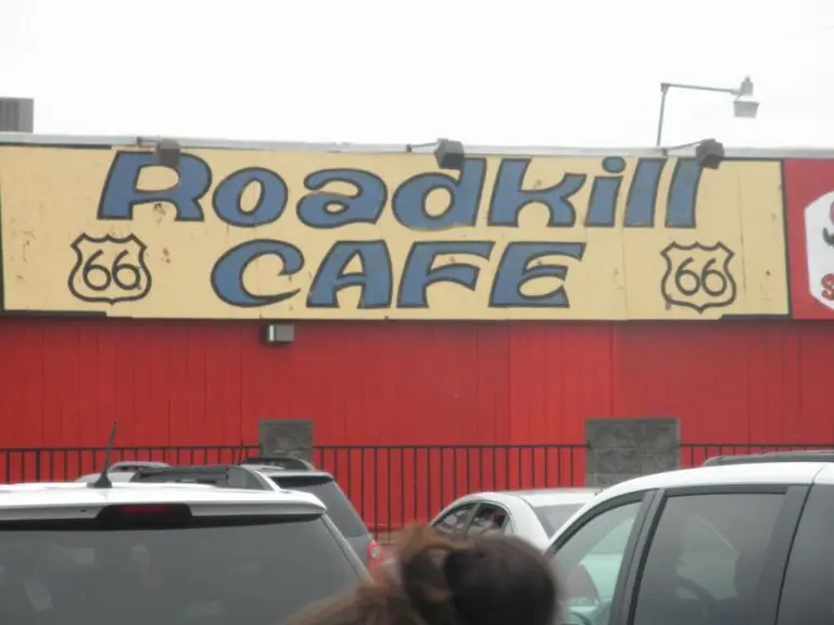 Tag 5 · Lake Havasu → Grand Canyon – Roadkill - wer's mag...